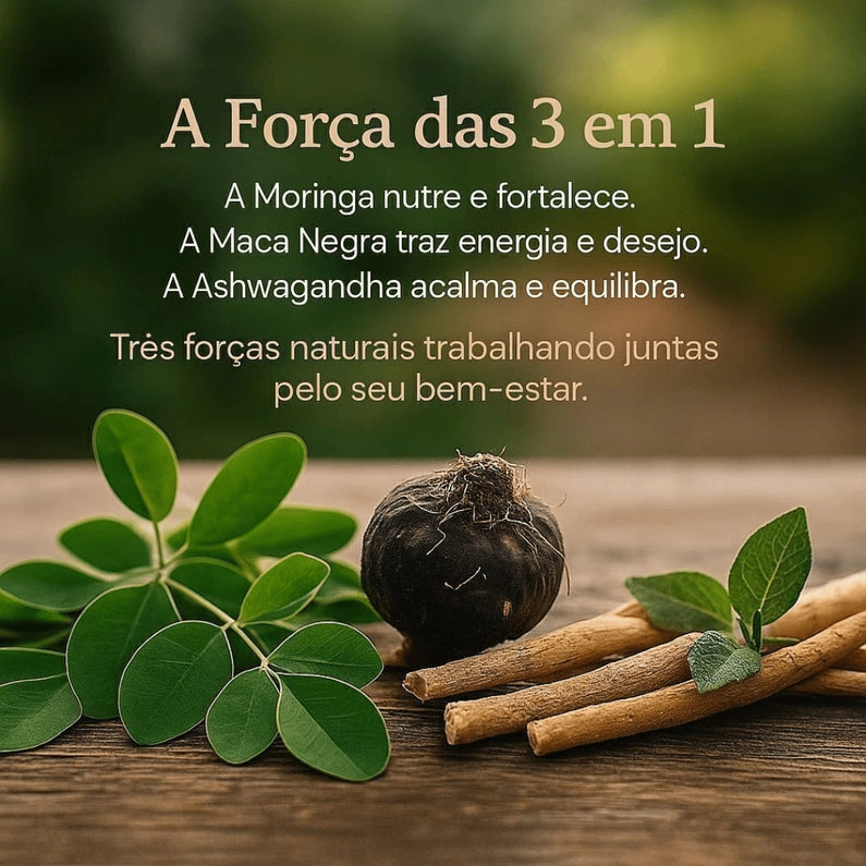 Ashwagandha + Moringa + Maca Negra