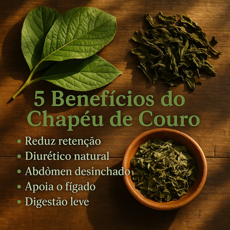 Kit Redutor Detox