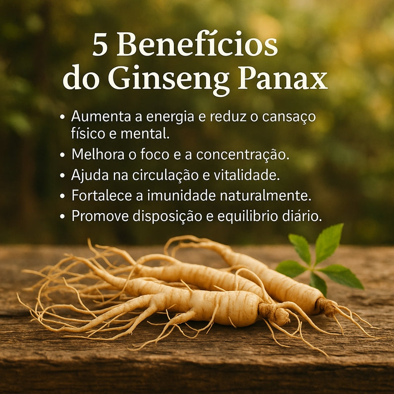 Ginseng Panax em Cápsulas