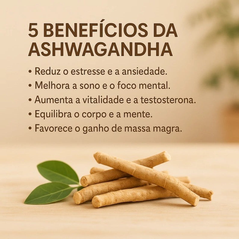 Kit Shape Natural