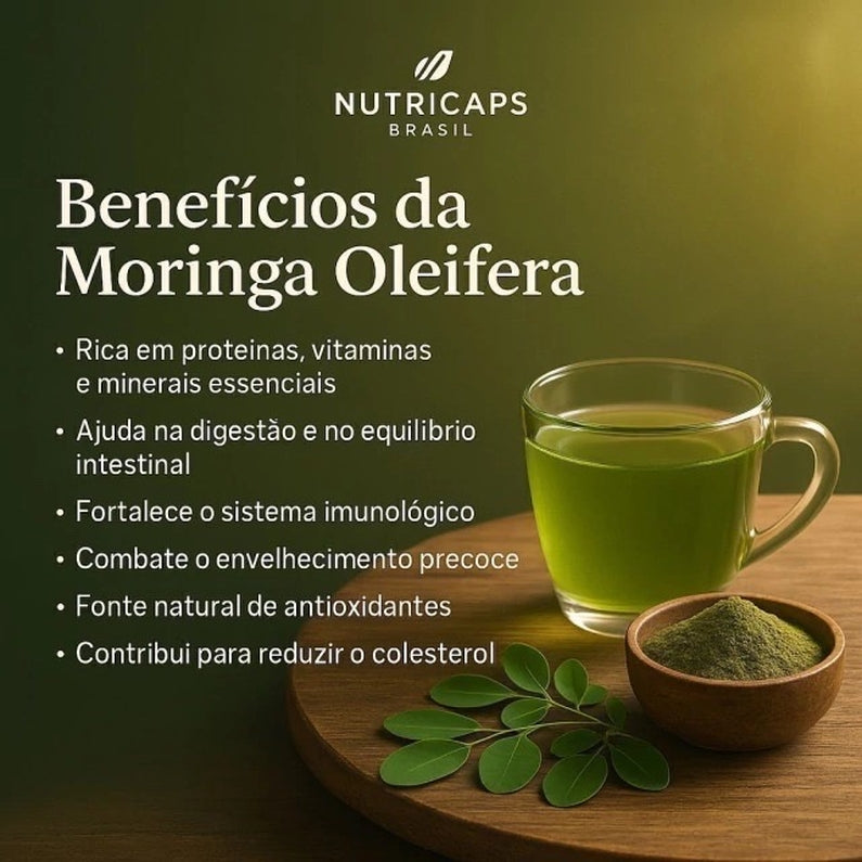 Moringa Oleifera 100% Pura