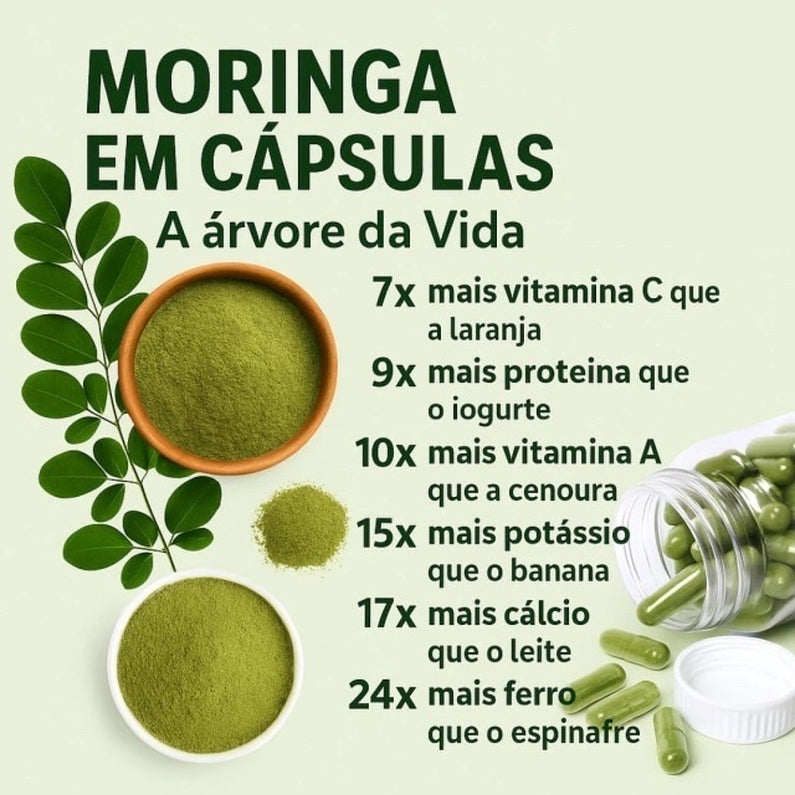 Moringa Oleifera 100% Pura